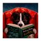 Stupell Industries Sheep Dog Reading for Dummies Canvas Wall Art